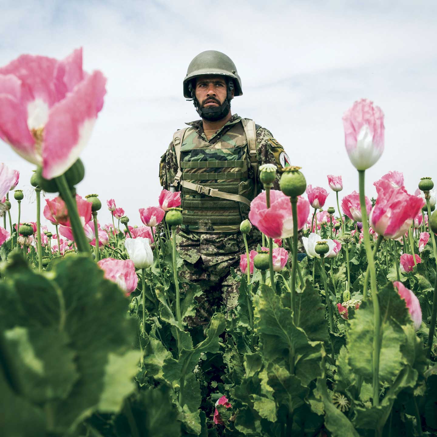 american interest in afghanistan american interest in afghanistan